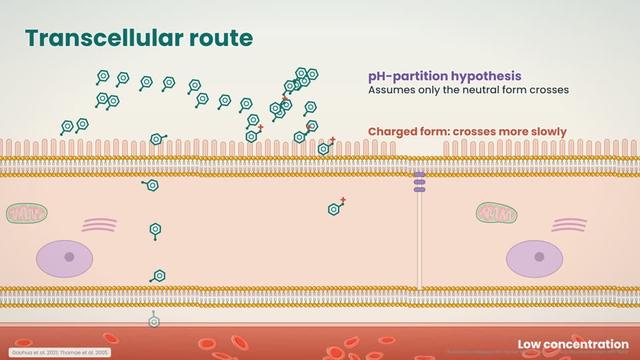 Passive diffusion