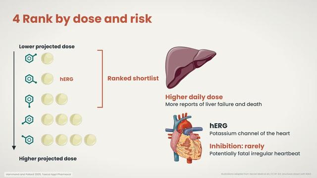 Step 4: rank by dose and risk