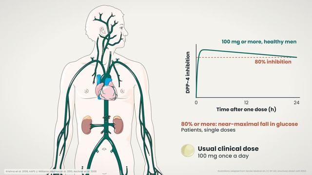 Clearance, bioavailability and dose